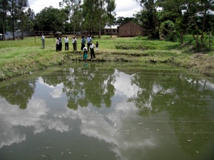 pond-at-local-school